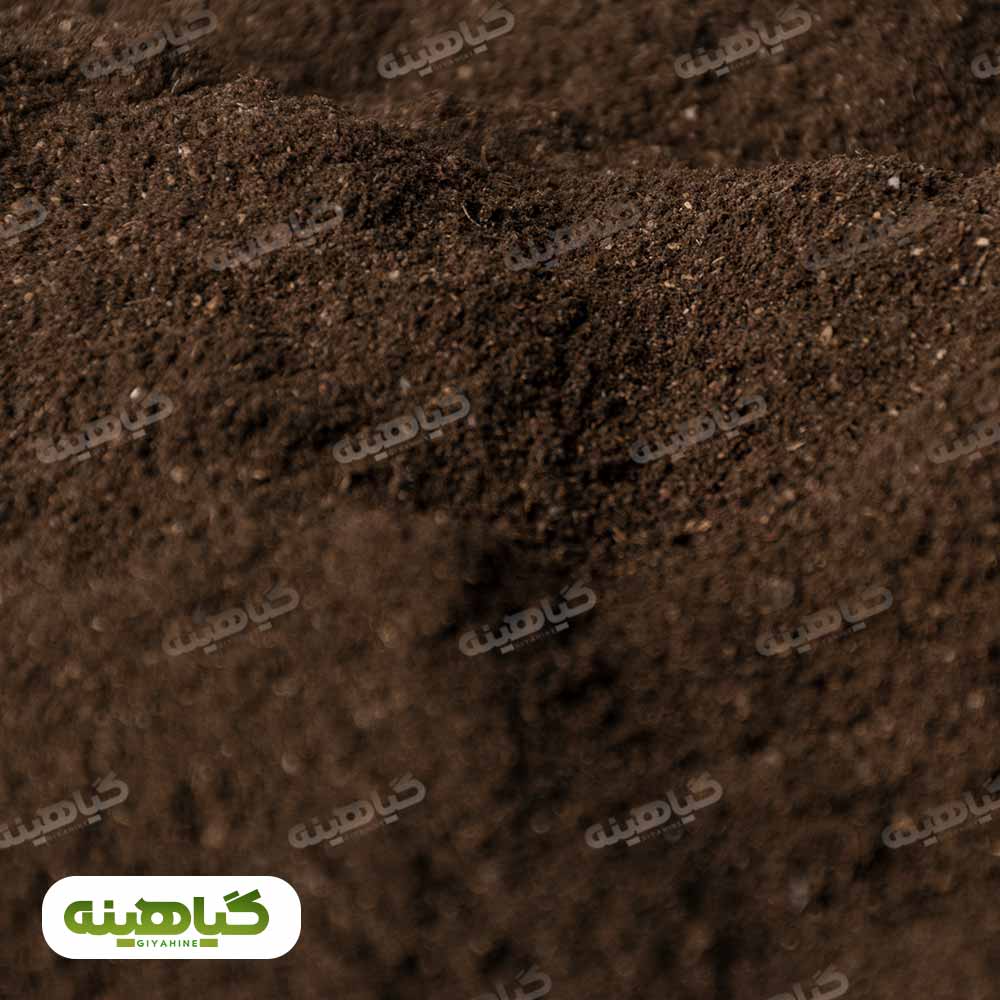 خرید پودر لیمو سیاه