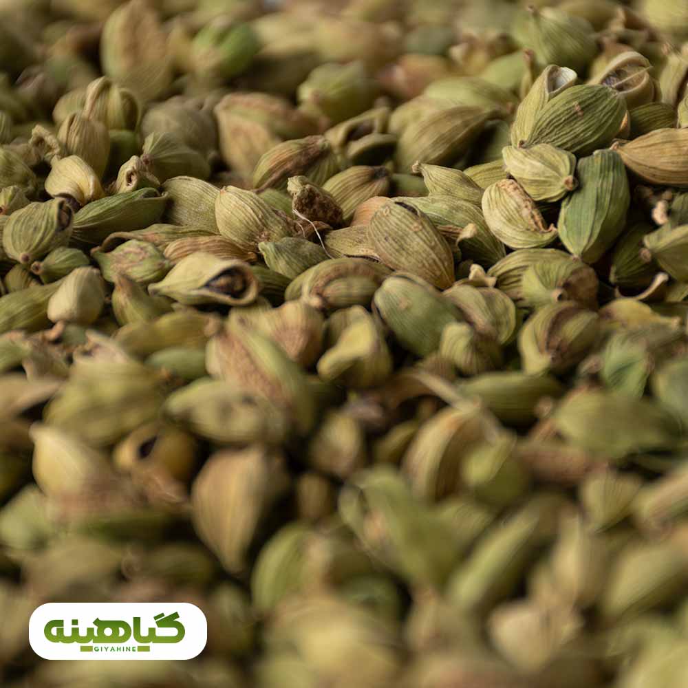 خرید هل شکسته MYQ کاردکس