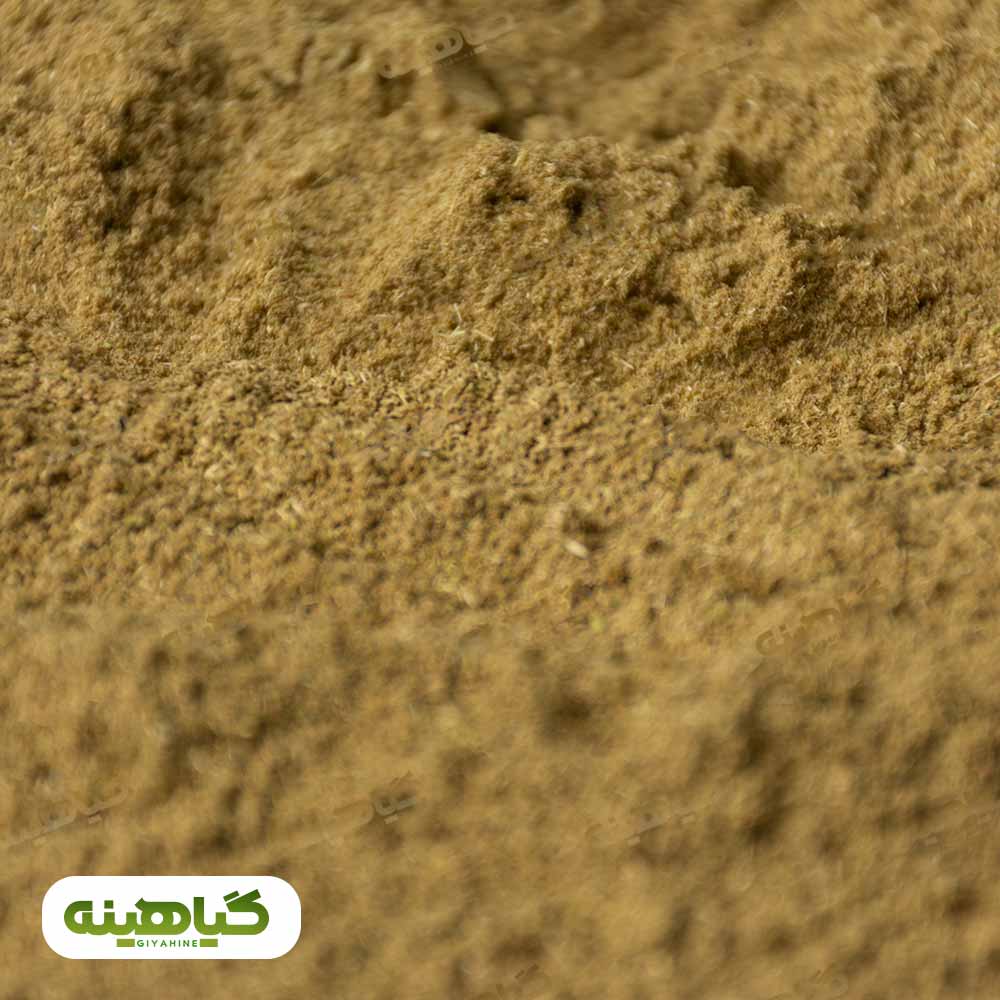 خرید پودر زیره سبز