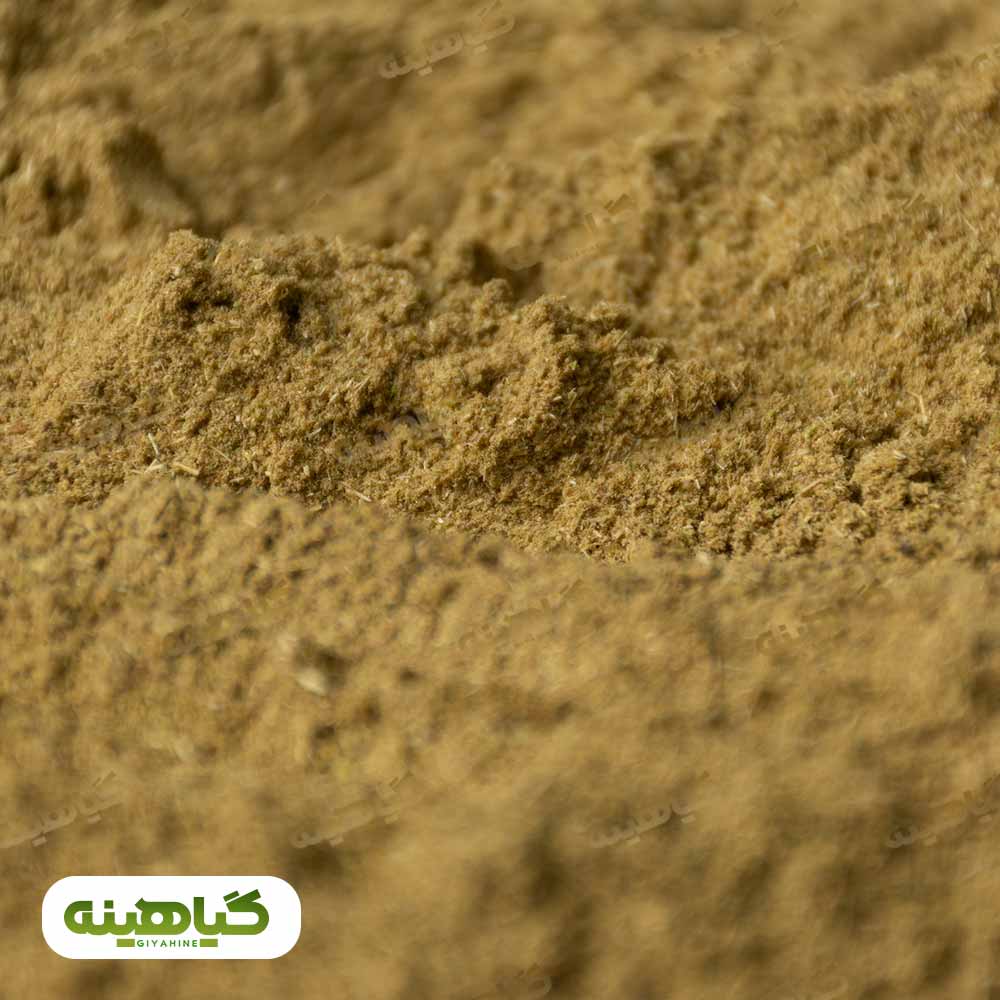 خرید پودر زیره سبز