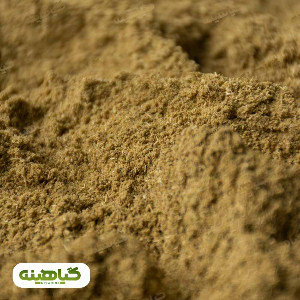 خرید پودر زیره سبز