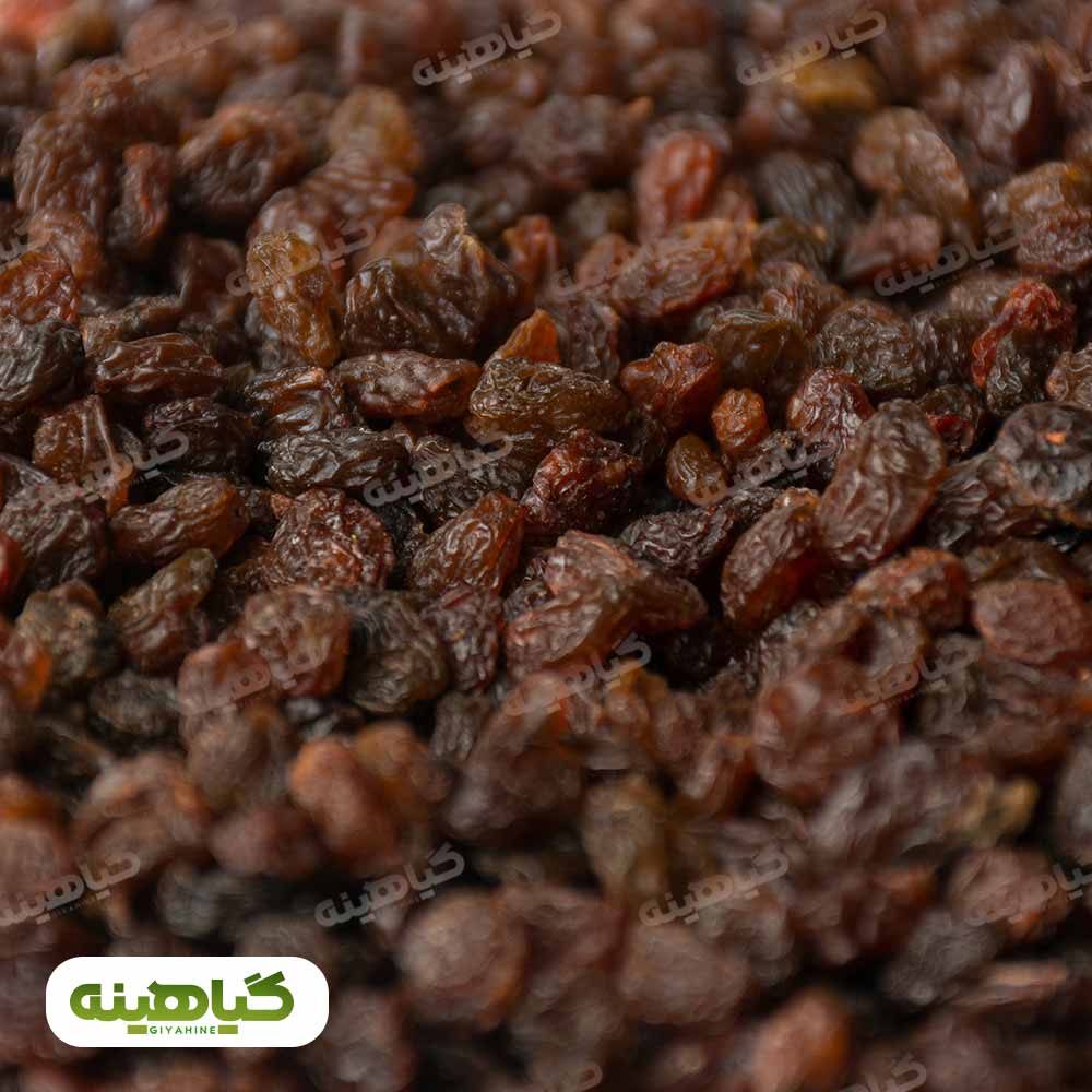 خرید کشمش پلویی