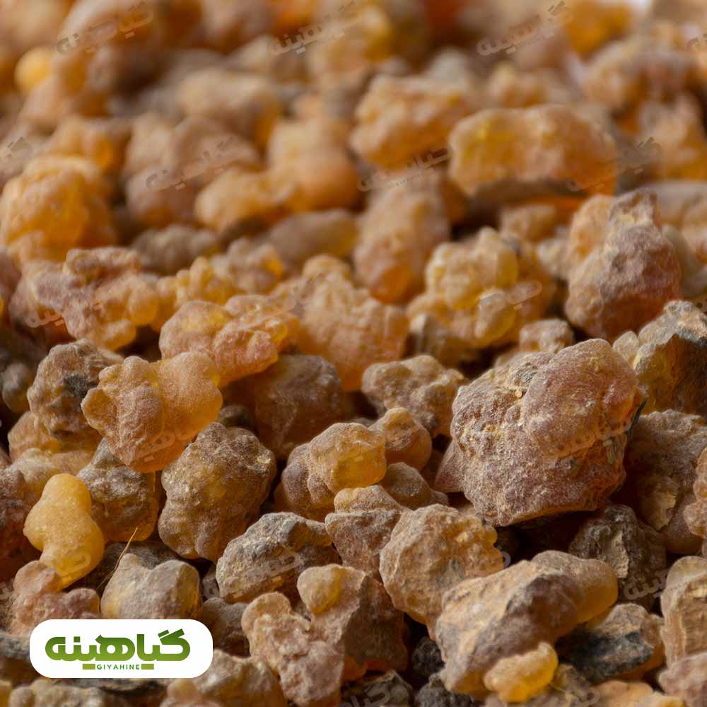 خرید کندر آتشی دانه درشت