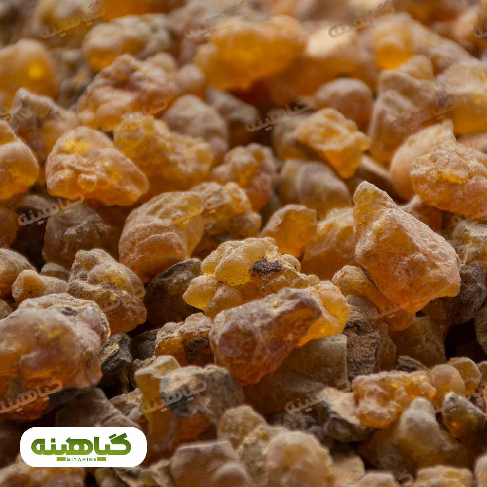 خرید کندر آتشی دانه درشت