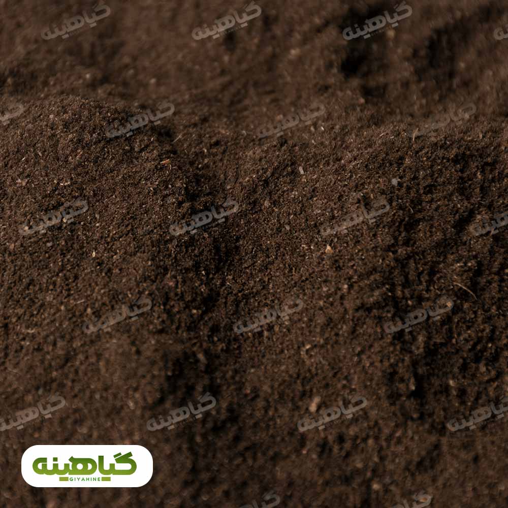 خرید پودر لیمو سیاه