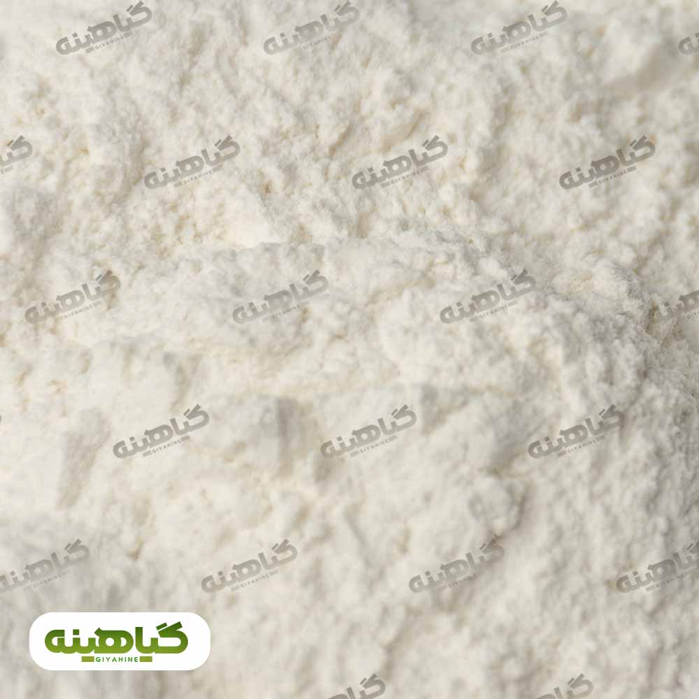 خرید ثعلب بستنی