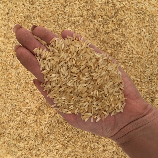 خرید برنج دودی
