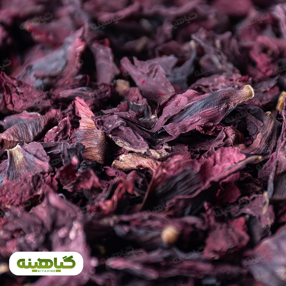 گل شقایق خشک