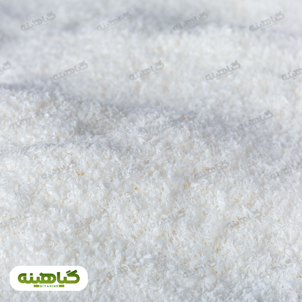 خرید پودر نارگیل خشک سریلانکا