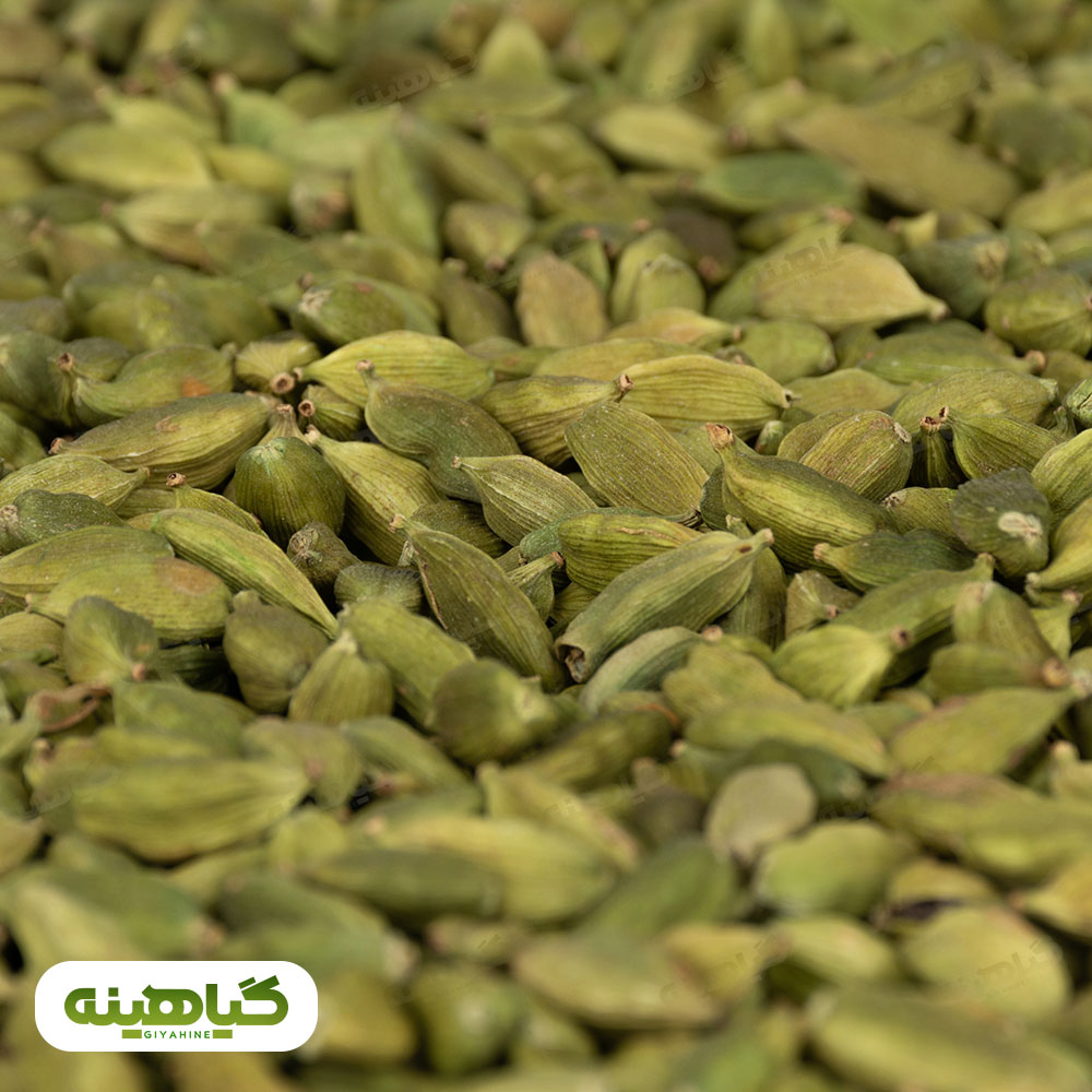 هل سبز پونم