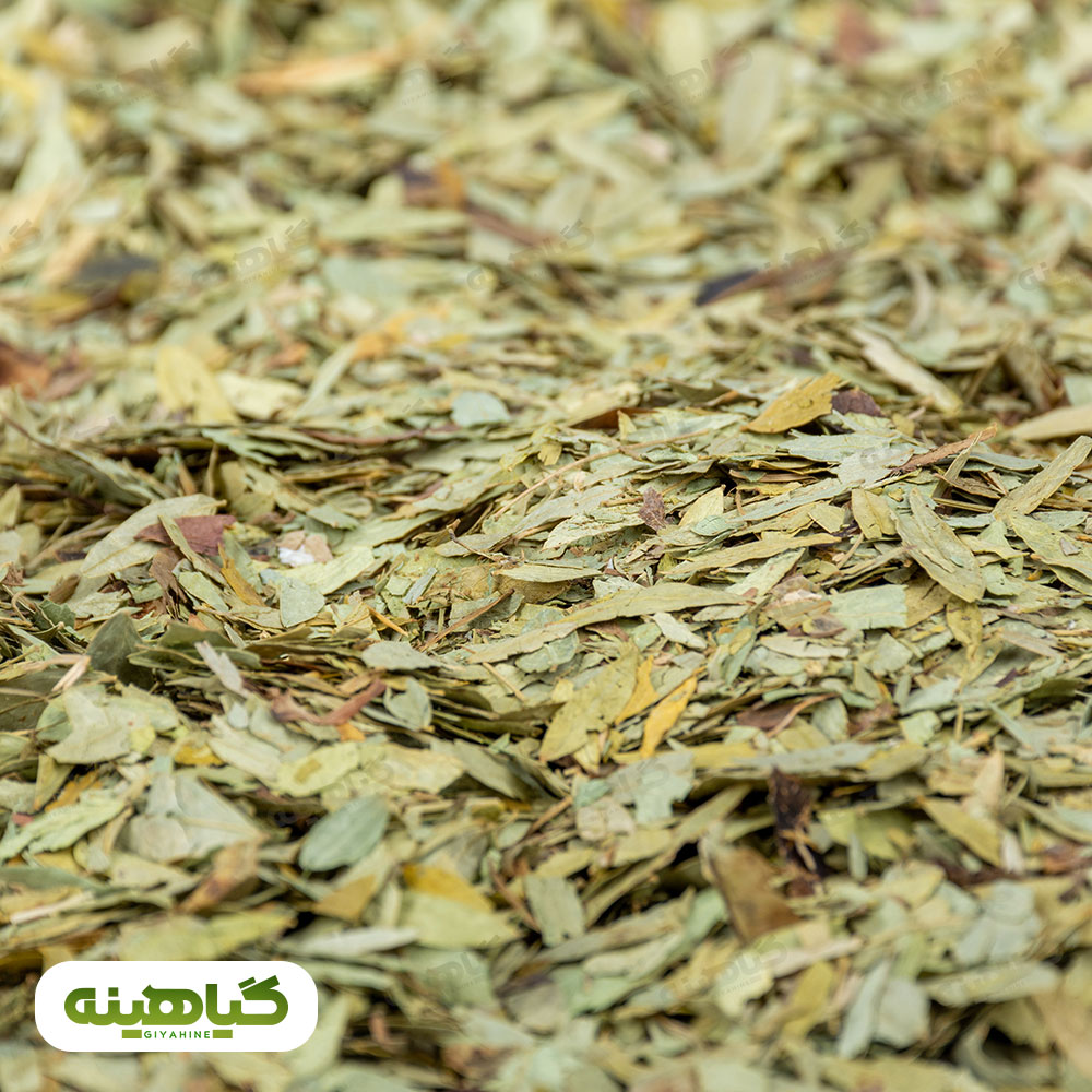 خرید برگ سنا