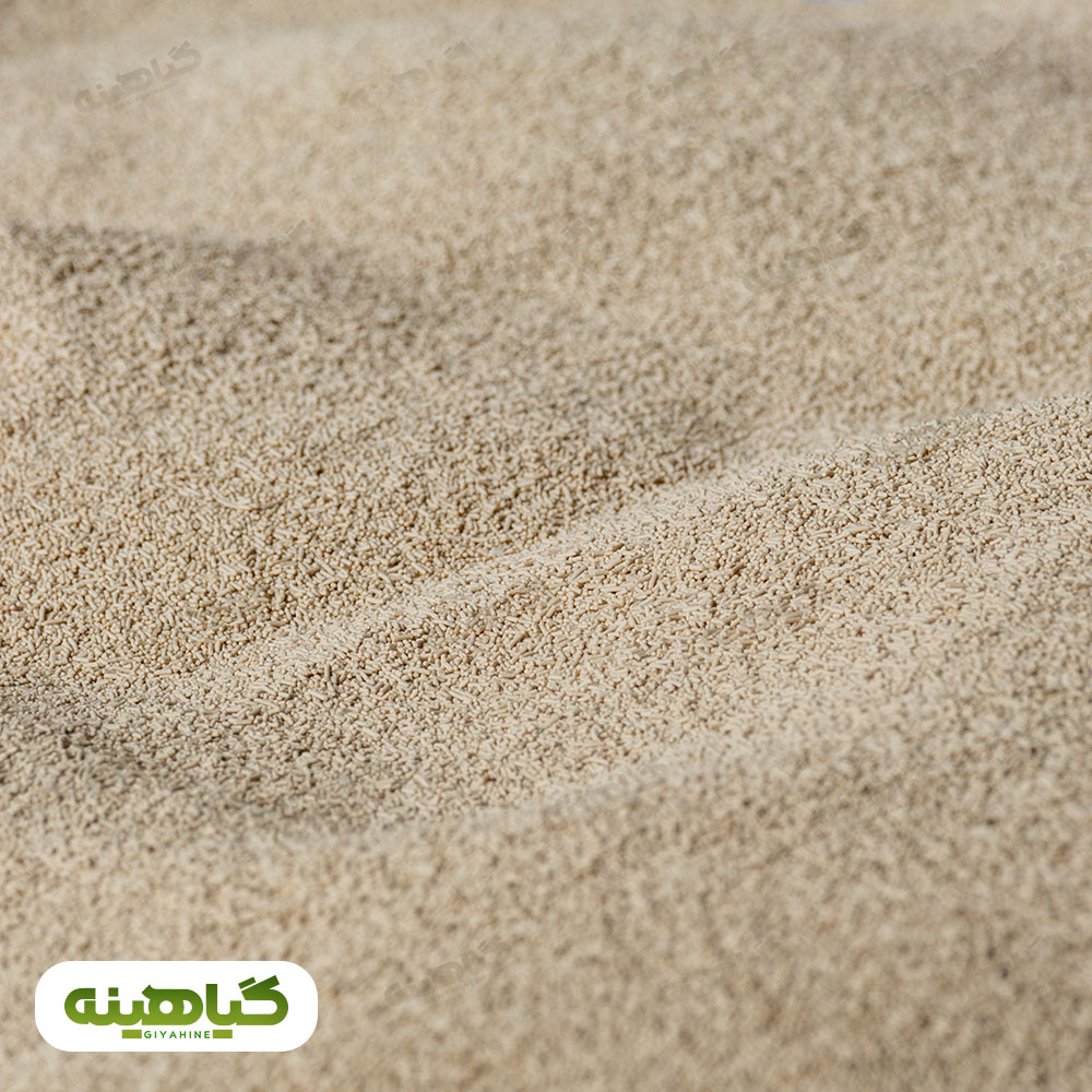 خرید مایه خمیر