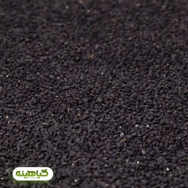 خرید سیاه دانه