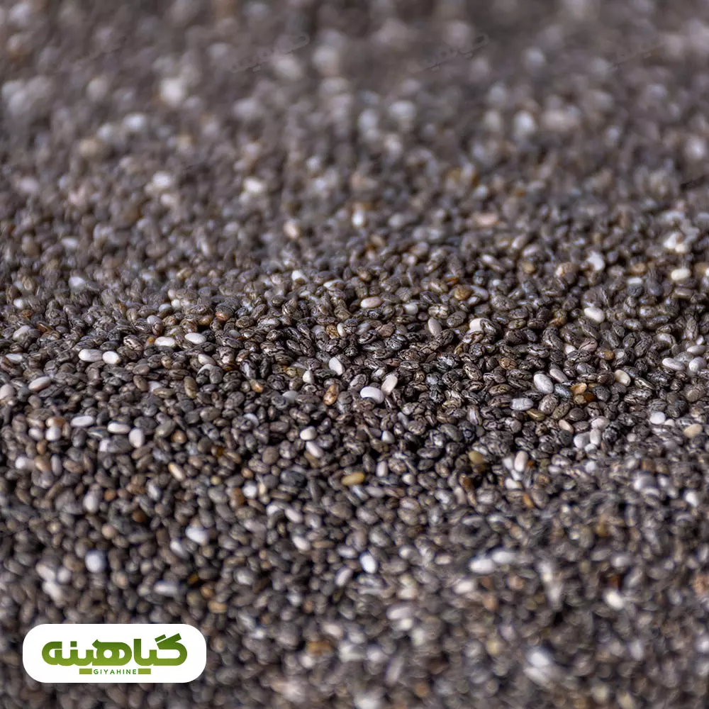 خرید و قیمت دانه چیا آرژانتین