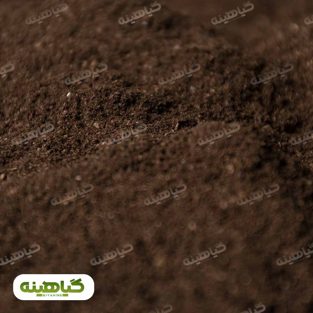 خرید پودر لیمو سیاه