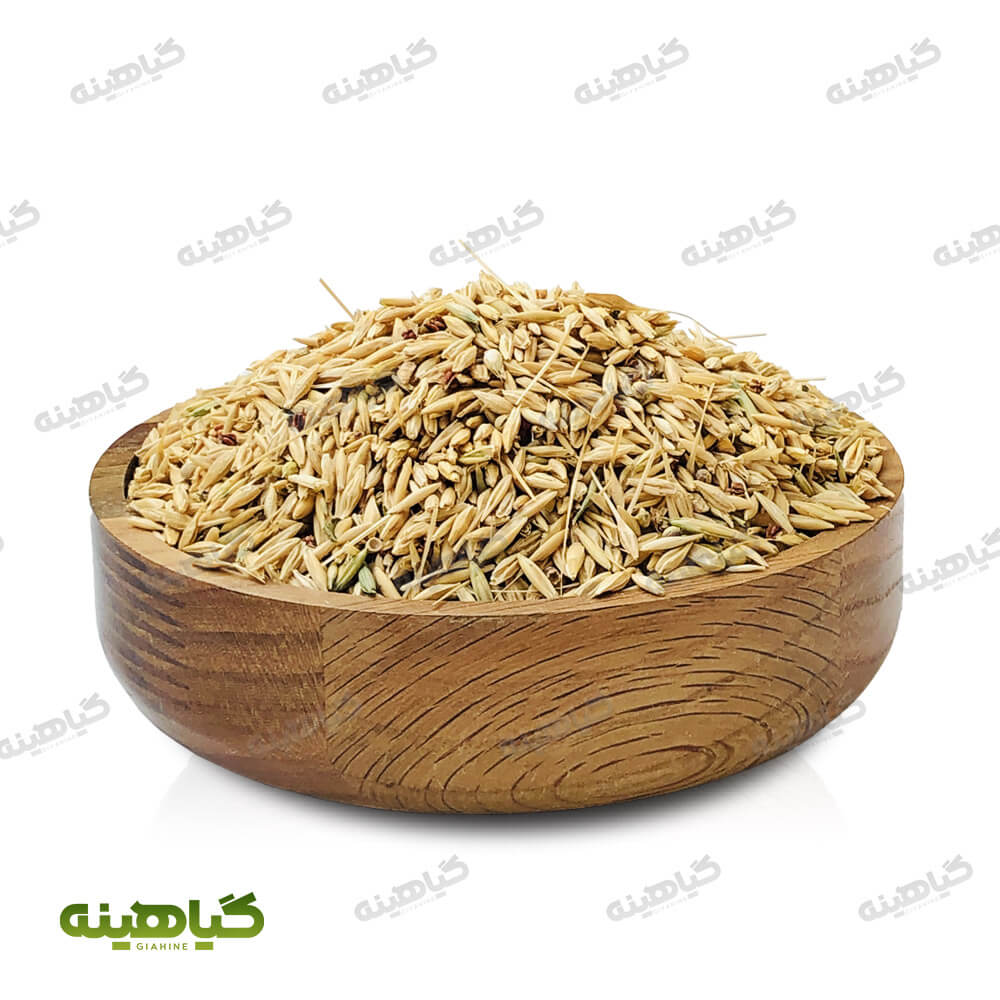 جو دوسر با پوست