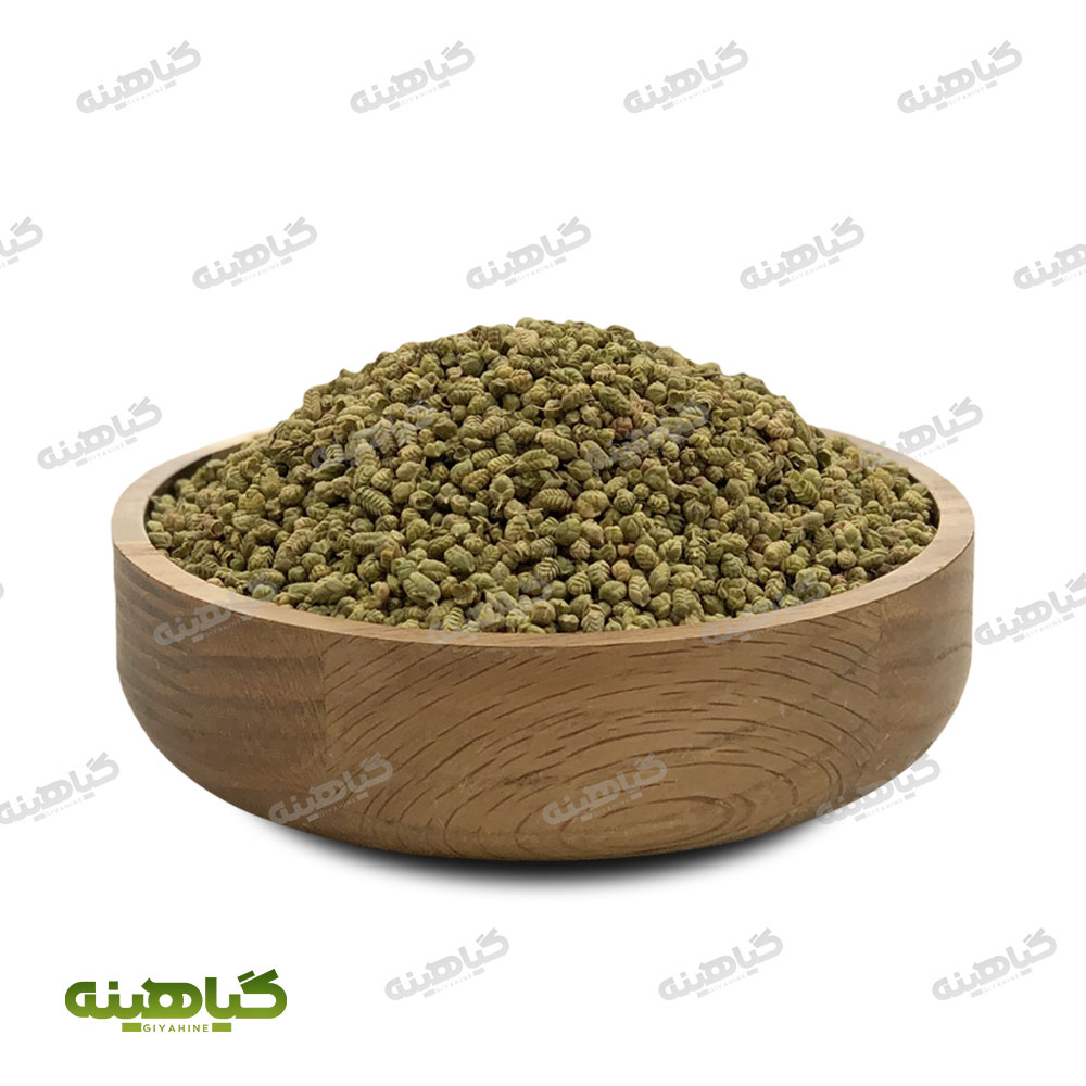 اورگانو بولد