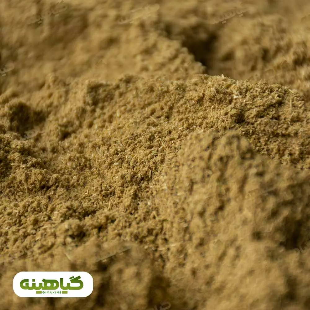 خرید پودر زیره سبز