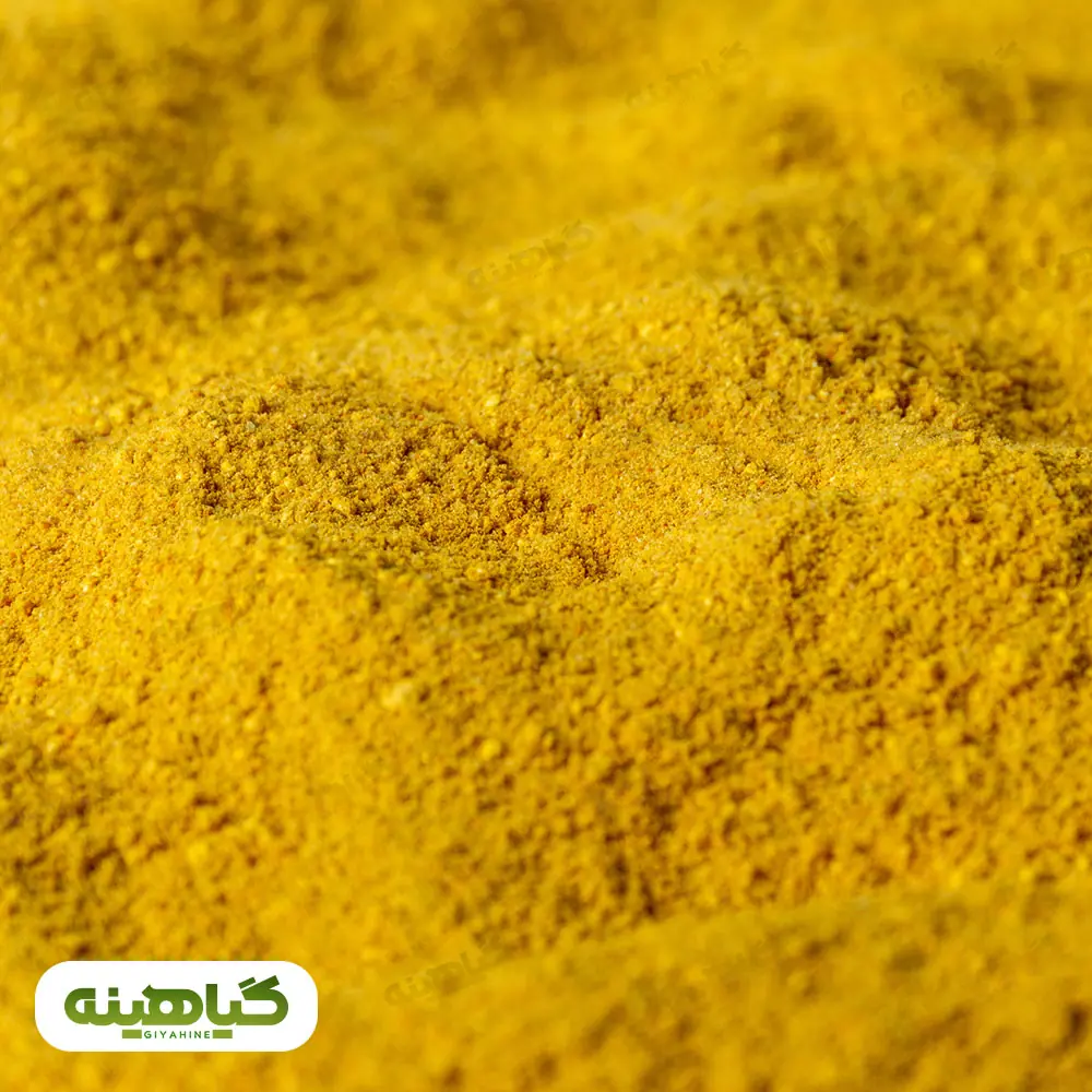 خرید پودر انبه معمولی