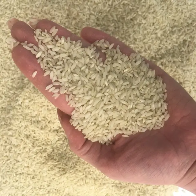 خرید برنج لنجان درجه یک