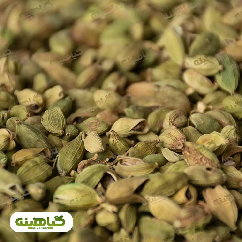 خرید هل اکبر آبی (شکسته)