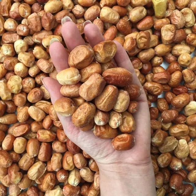 خرید سنجد درشت