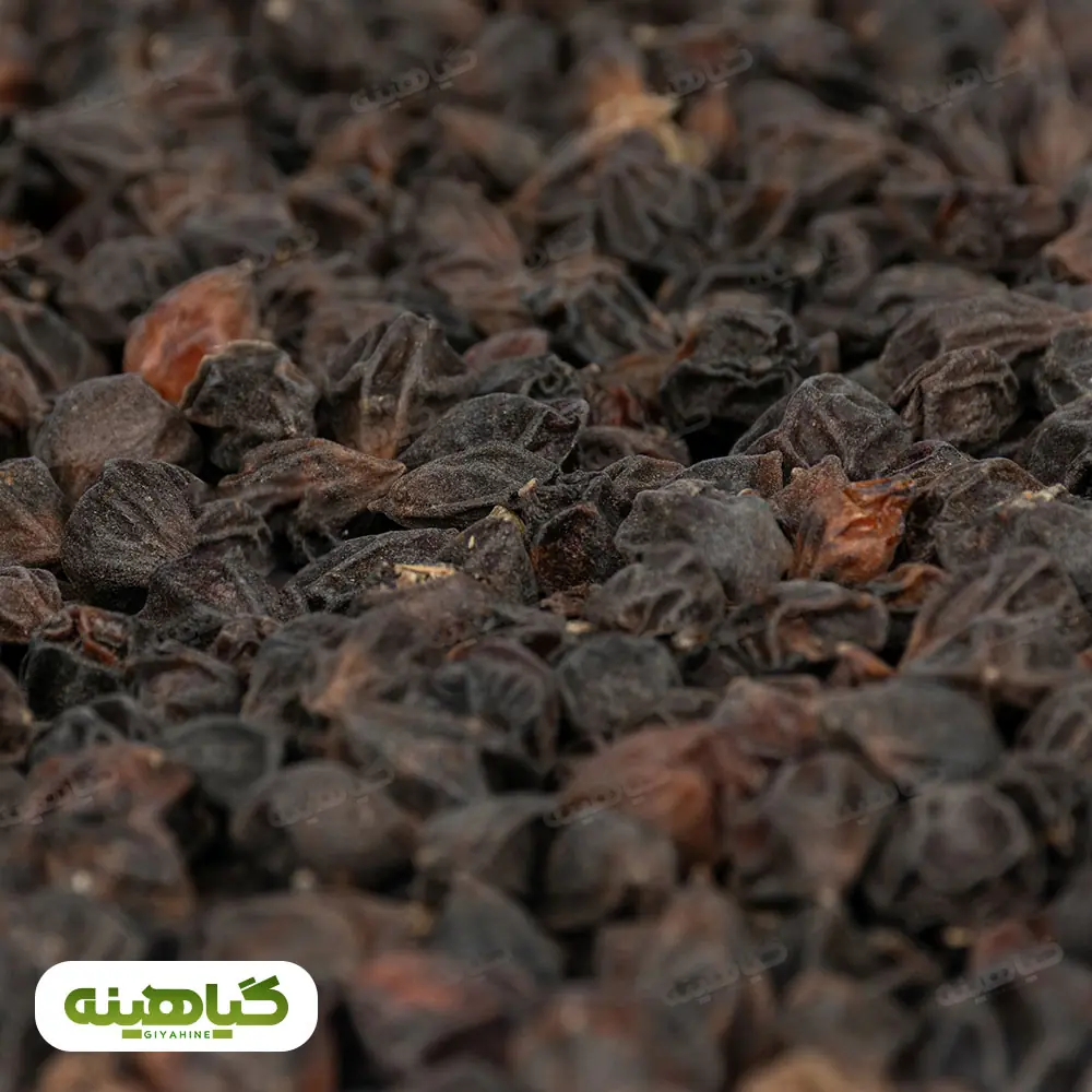 خرید سه پستان ریز