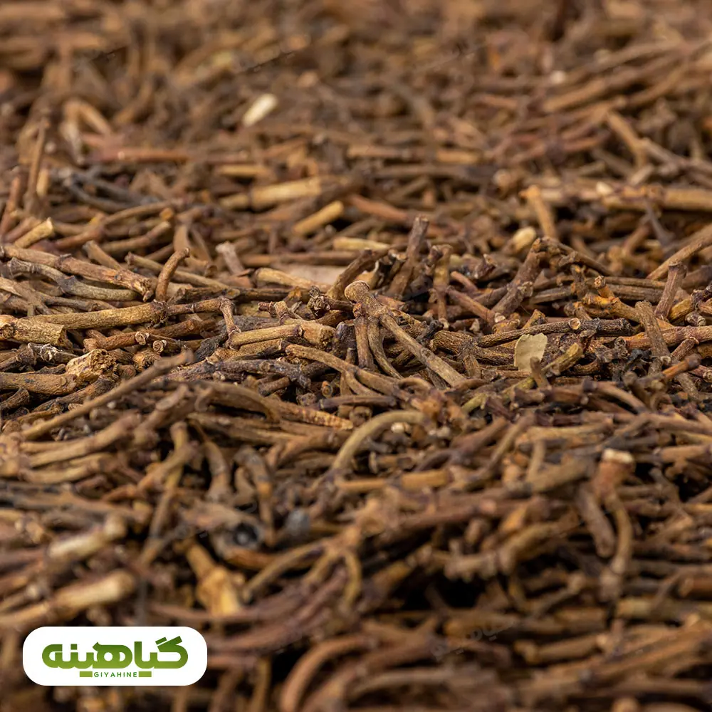 خرید چوب میخک مخصوص آسیاب