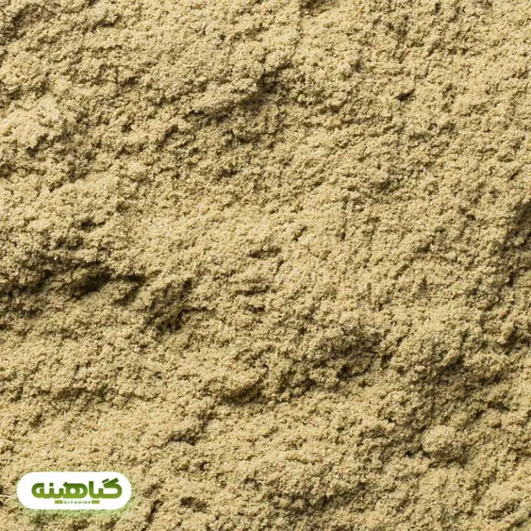 خرید پودر