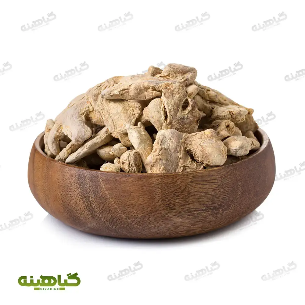 خرید زنجبیل قلم چینی