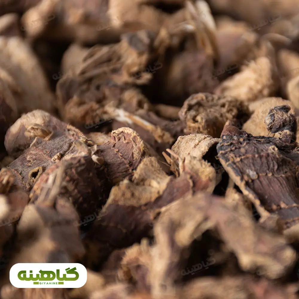 خرید ریشه جوز قلم(خسرودار)