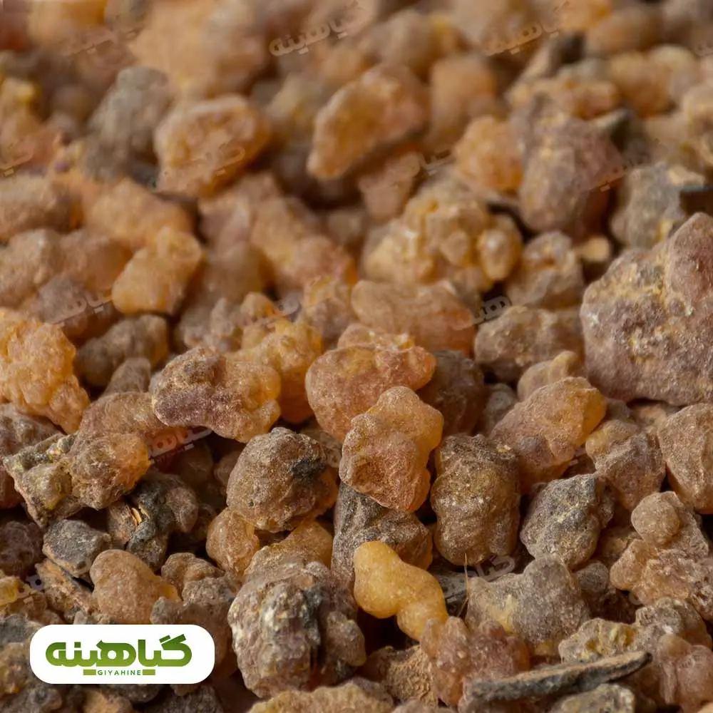 خرید کندر آتشی دانه درشت