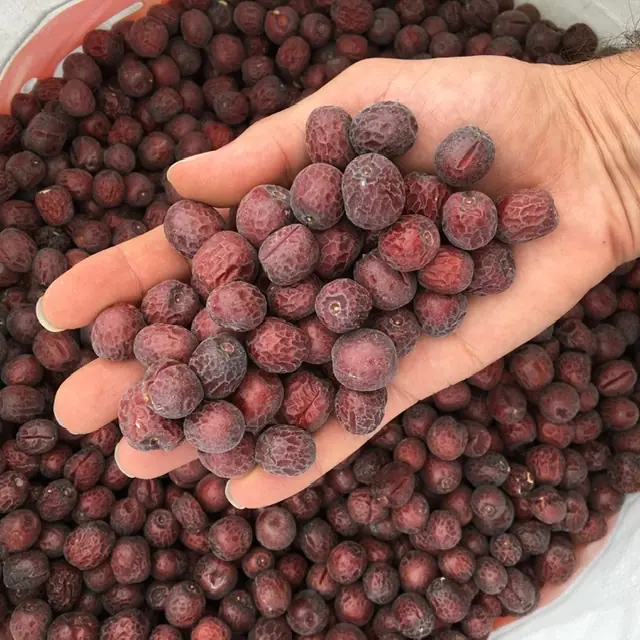 خرید عناب درشت لوکس گیاهینه