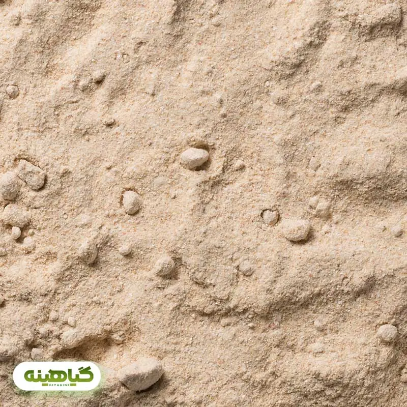 خرید پودر پیاز