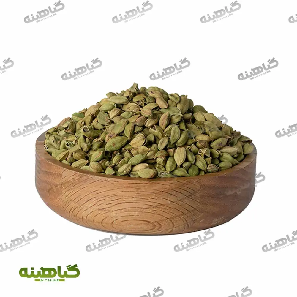 خرید هل شکسته MYQ فیل