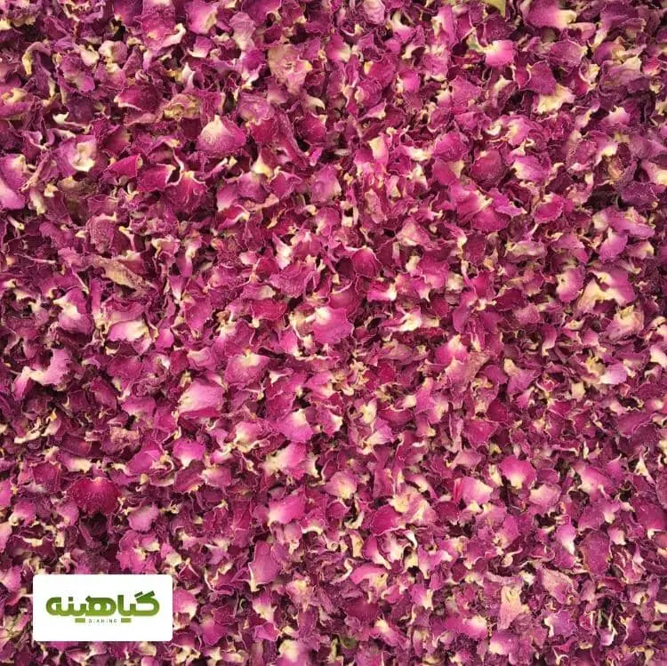 خرید برگ خالص گل محمدی
