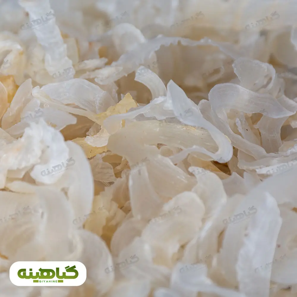 خرید کتیرا صدفی