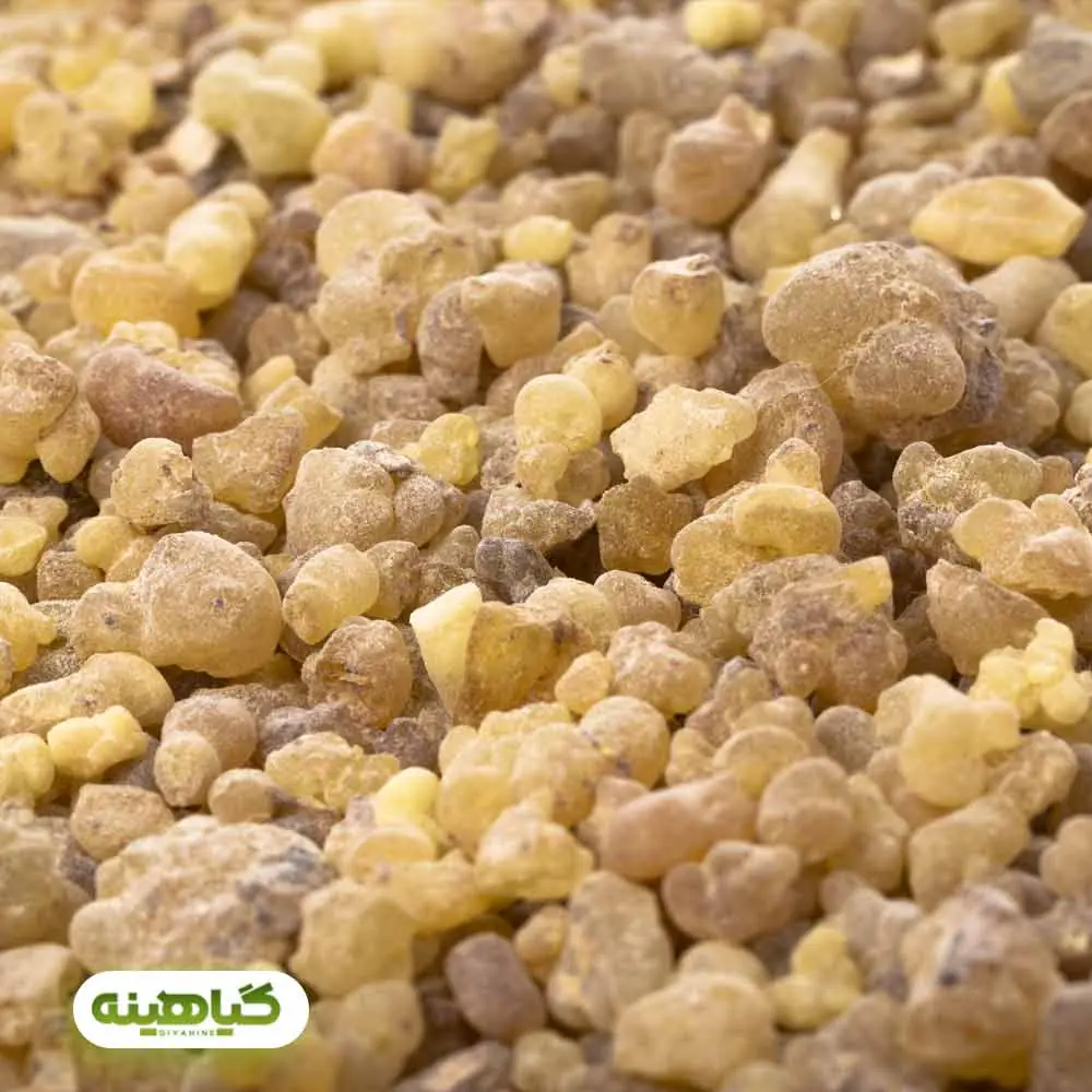 خرید کندر خوراکی