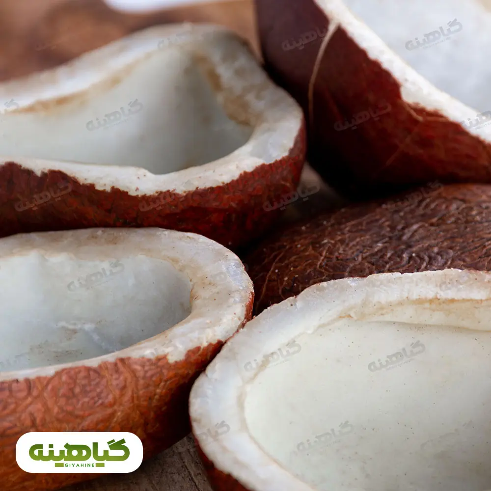 خرید نارگیل کاسه (قاب)