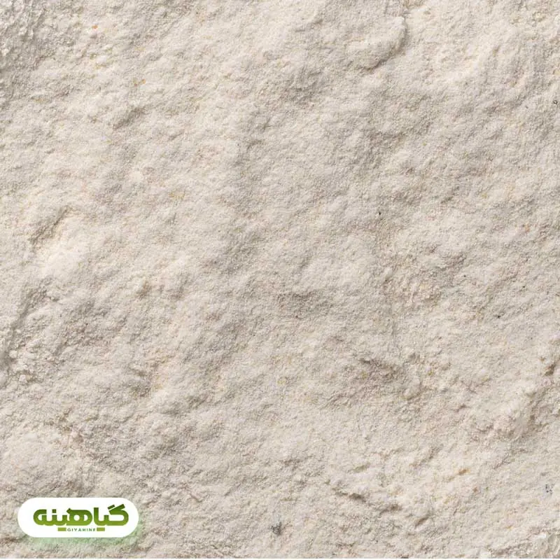 خرید پودر سیر خارجی
