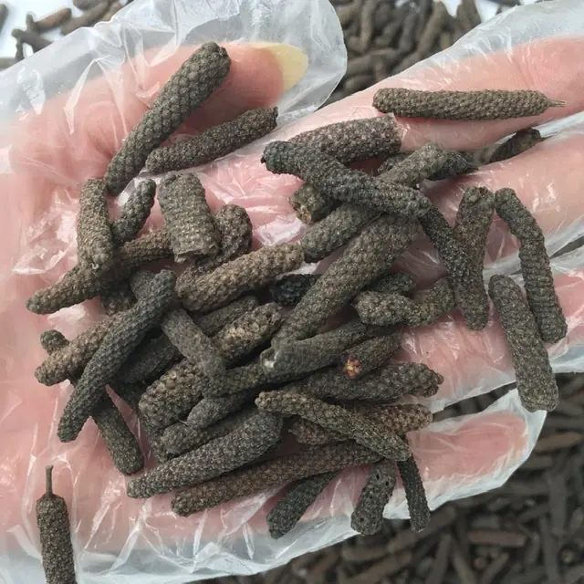 خرید دارفلفل