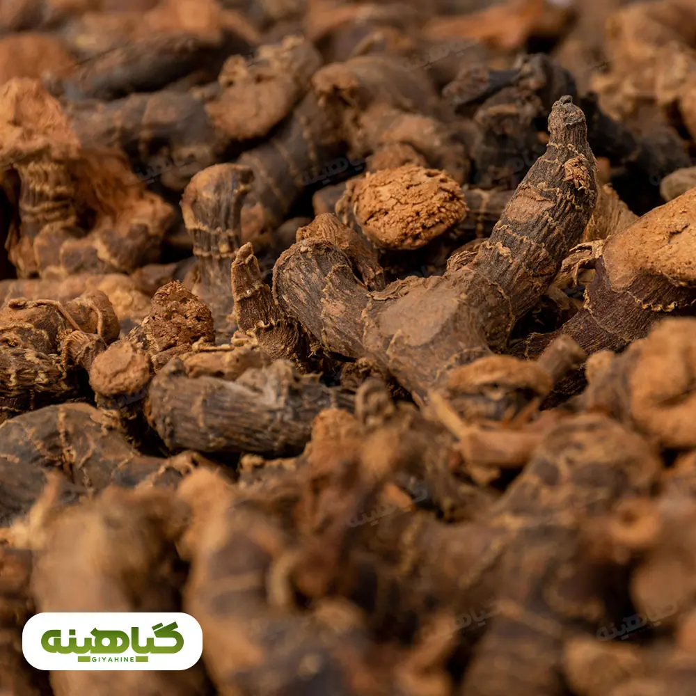 خرید خولنجان