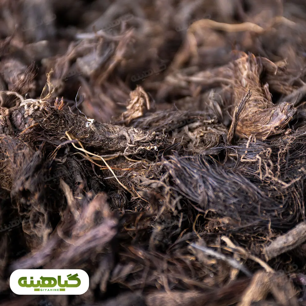 خرید سنبل الطیب