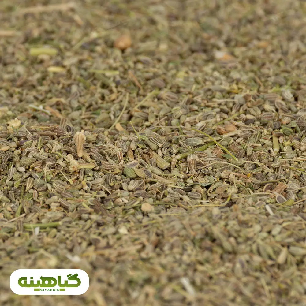 بذر انیسون (بادیان رومی)