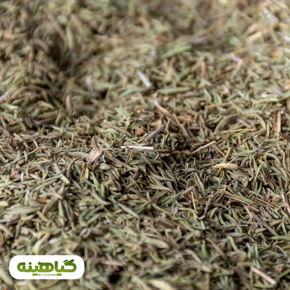 خرید اویشن کوهی