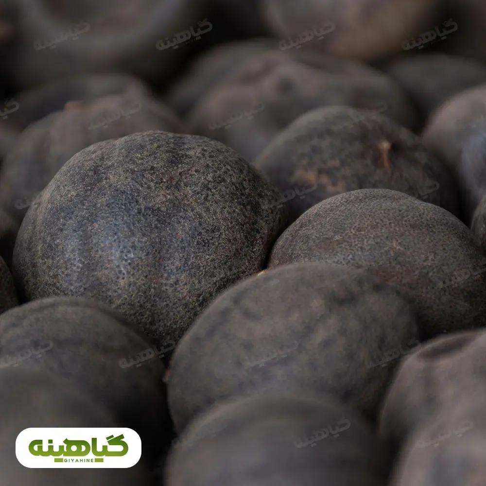 خرید لیمو عمانی سیاه