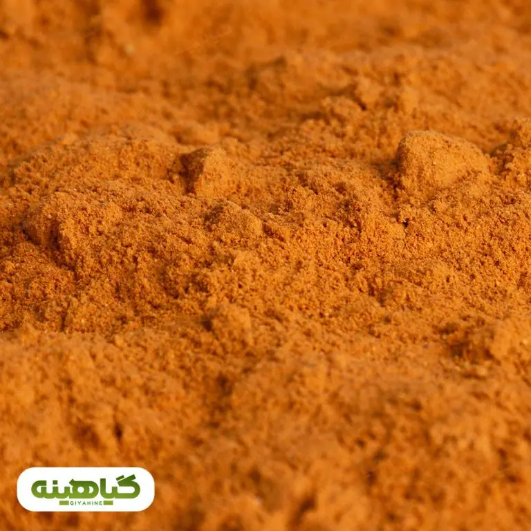 خرید پودر گوجه فرنگی