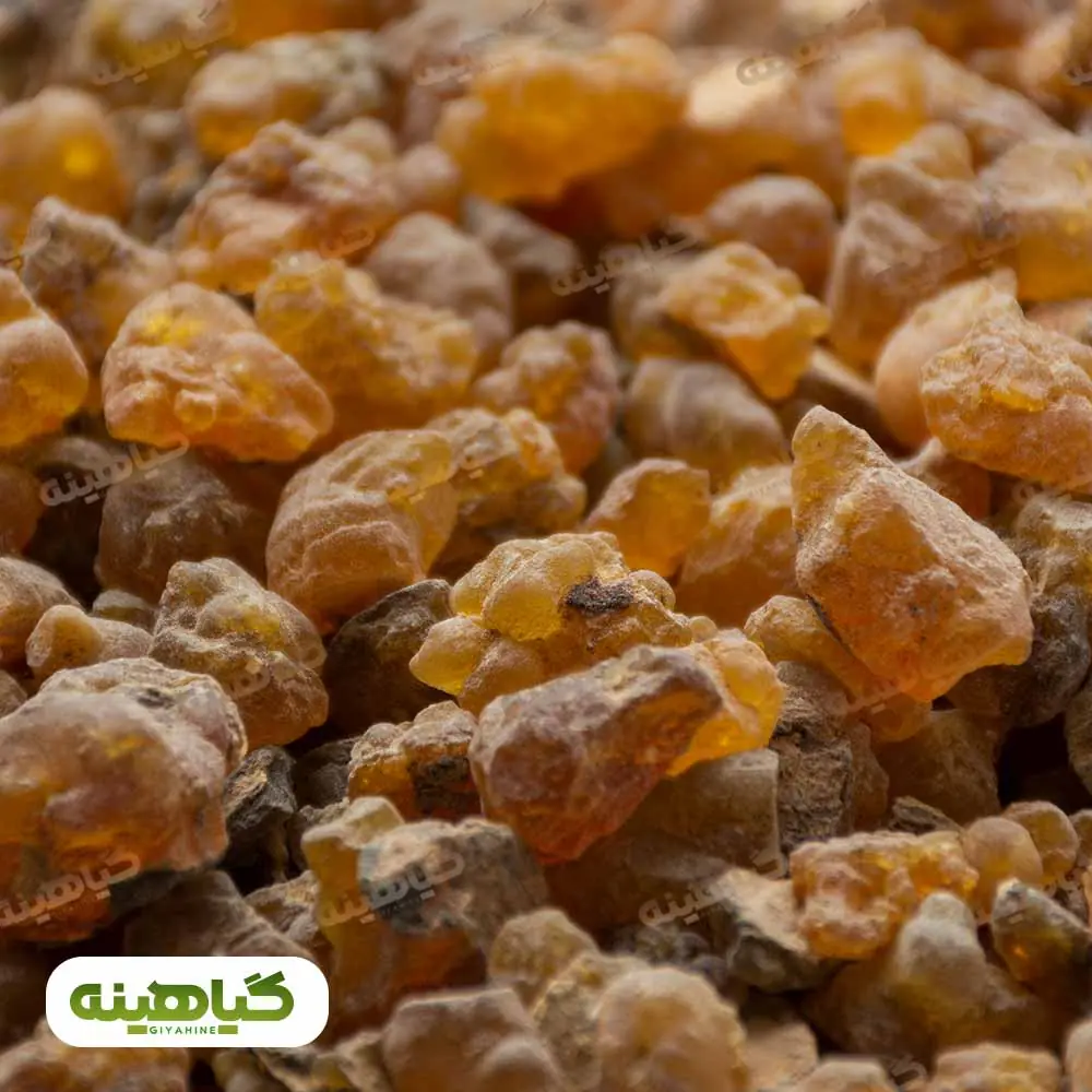 خرید کندر آتشی دانه درشت