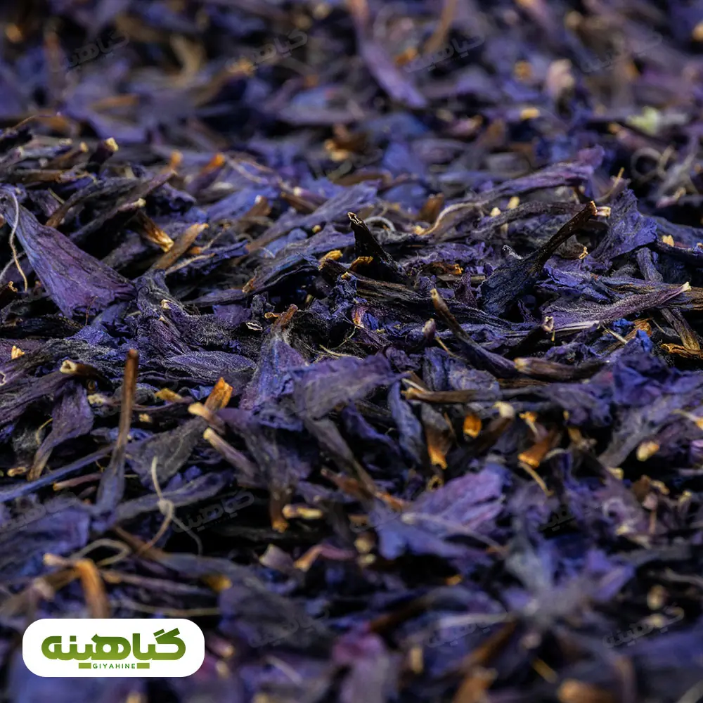 خرید گل گاوزبان قزوین