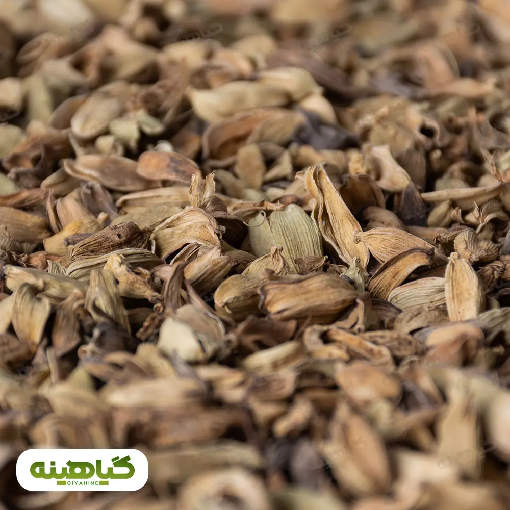 خرید پوست هل سبز